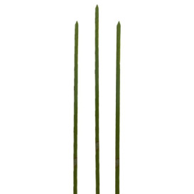 Pick de Bambu Verde Natural 150mm (200 Unidades)