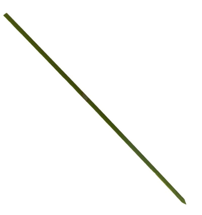 Pick de Bambu Verde Natural 150mm (200 Unidades)