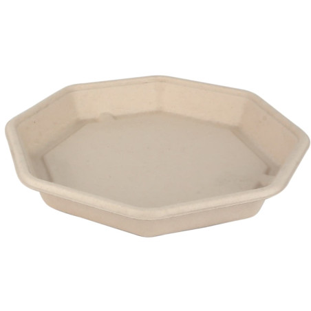 Embalagem Cana-de-açúcar Octogonal 830ml 23x23x3cm (300 Uds)