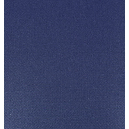 Toalha Papel Rolo Mesa Azul 1x100m 40g (6 Uds)