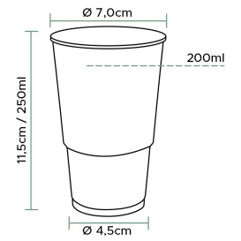 Copo de Plástico Transparente PP 250ml (3.000 Uds)