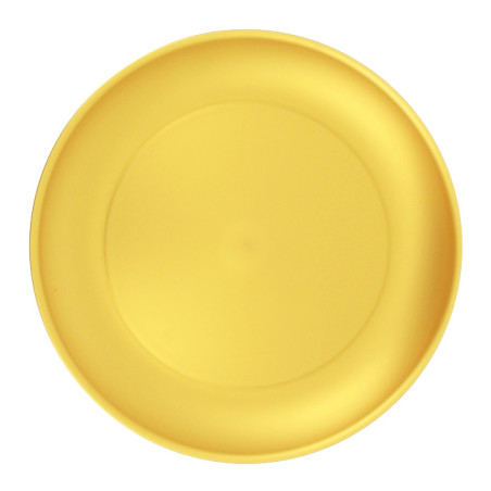 Prato Reutilizavel Durable PP Mineral Ouro Ø23,5cm (6 Uds)