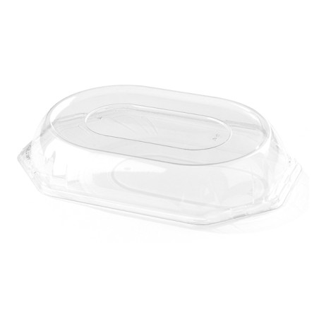 Tampa Plastico Bandeja 36x24x5 cm (50 Uds)