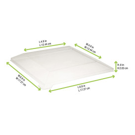 Tampa Plastico PET Transparente 17x17cm (100 Uds)