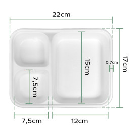 Barqueta Cana-de-Açúcar 17x5,5x3,8cm (1000 Unidades)