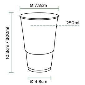 Copo de Plastico Transparente PP 300 ml Ø7,3cm (100 Unidades)