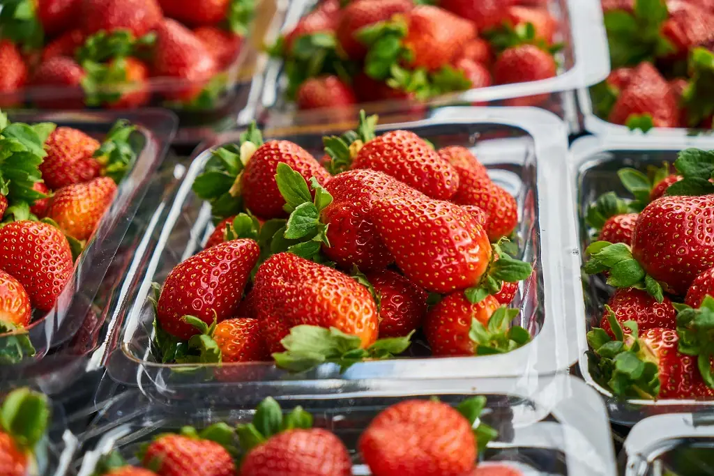Melhores embalagens frias para comida de entrega